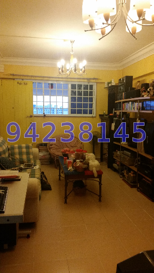 Blk 658 Hougang Avenue 8 (Hougang), HDB 3 Rooms #42227882